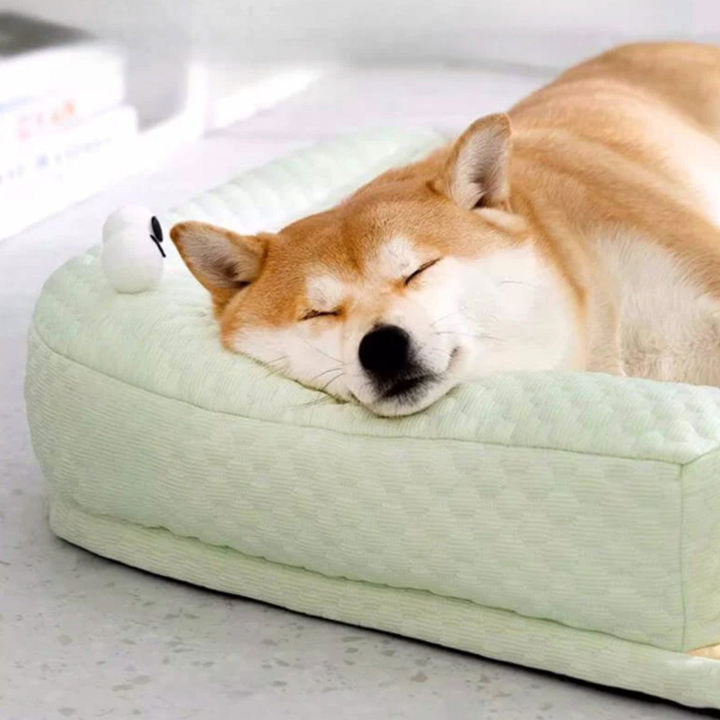 Avkylande husdjurssäng med nackskydd Andningsbar Stödjande Tvättbar