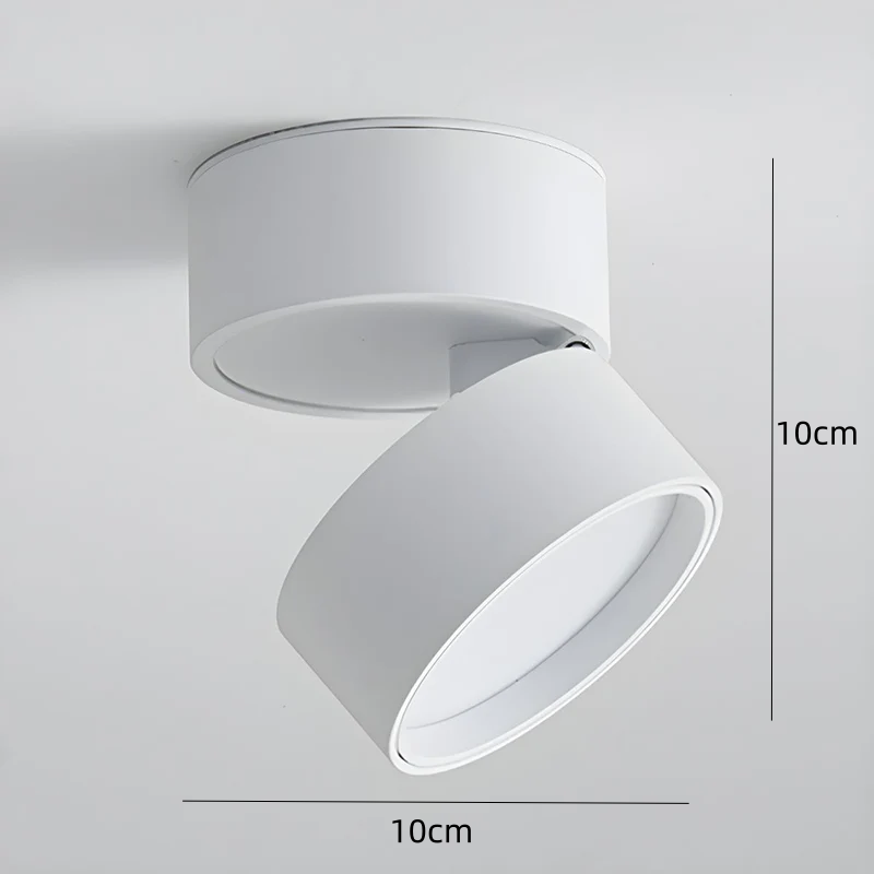 LED Taklampa med Justerbar Spotlighthuvud