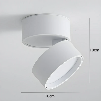 LED Taklampa med Justerbar Spotlighthuvud