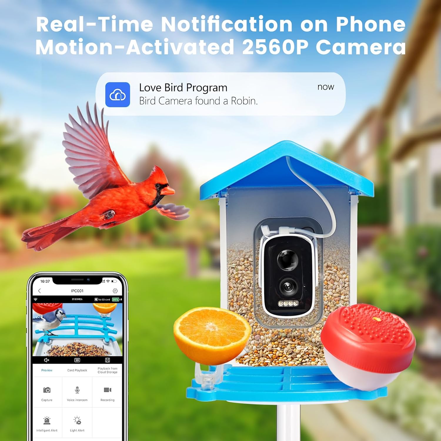 Smart fågelmatare med kamera solenergi driven