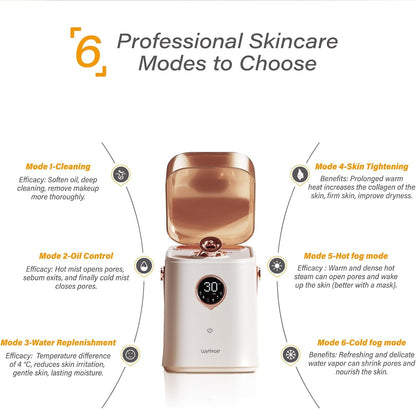 Professionell 6-i-1 Ionic Ansiktsångare för Djup Hudrengöring