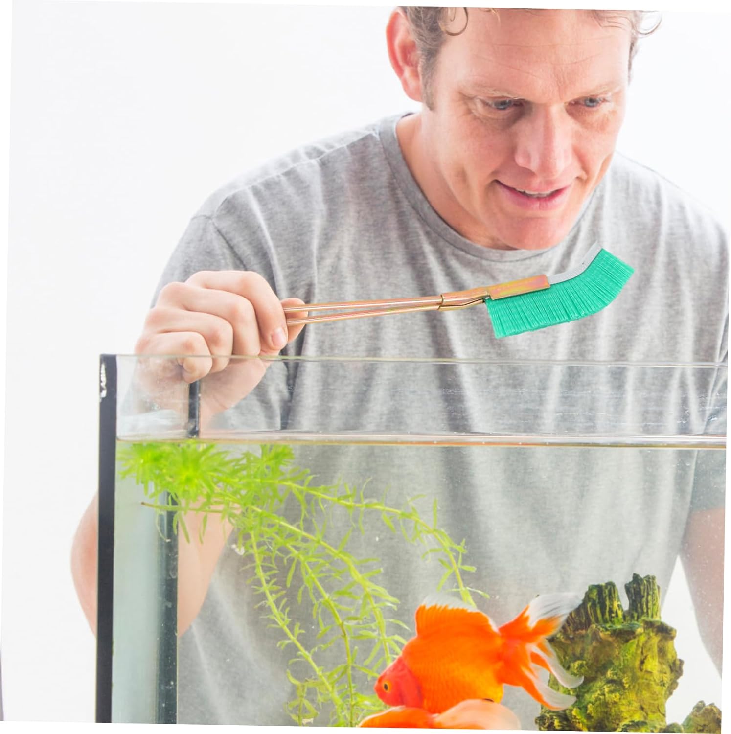 Nylonborste för Bonsai-stamområde rengöring – Trädgårdsvårdsverktyg