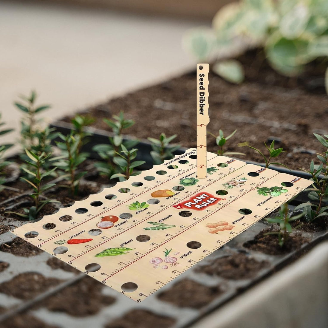 Holz Planterlinjal – Multifunktionellt frö-mätverktyg för trädgård