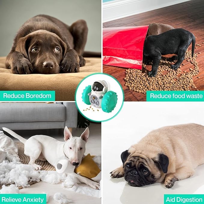 Carvallo Foderrobot för hundar & katter | 3-i-1 Lek, Intelligens & Snackskoj | Självbalanserande & Utan batterier