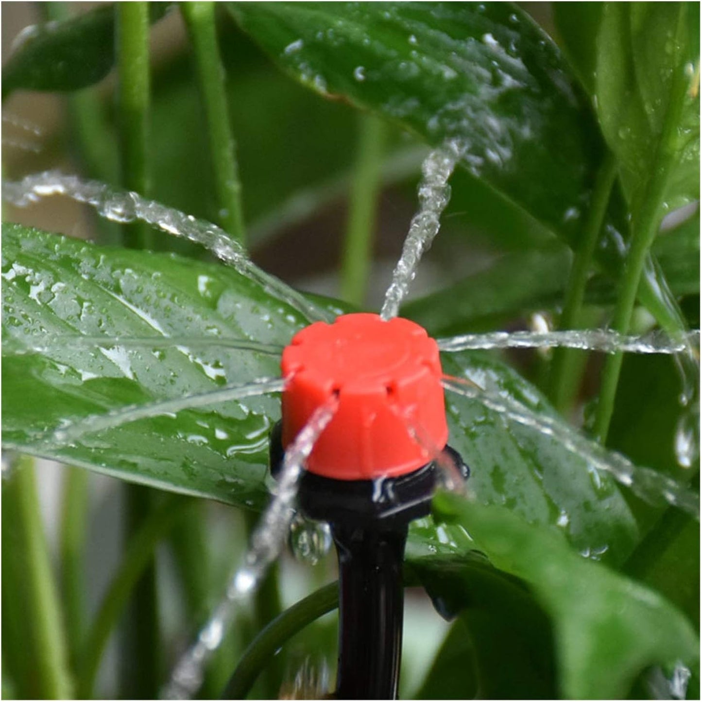 Automatiskt droppvattensystem för växter – Komplett set för trädgård och balkong