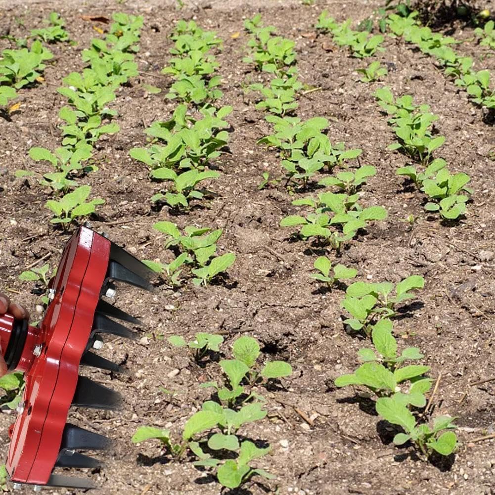 Ogräsavlägsnare huvudfäste – Effektivt gräsmattevårdsverktyg för att ta bort ogräs