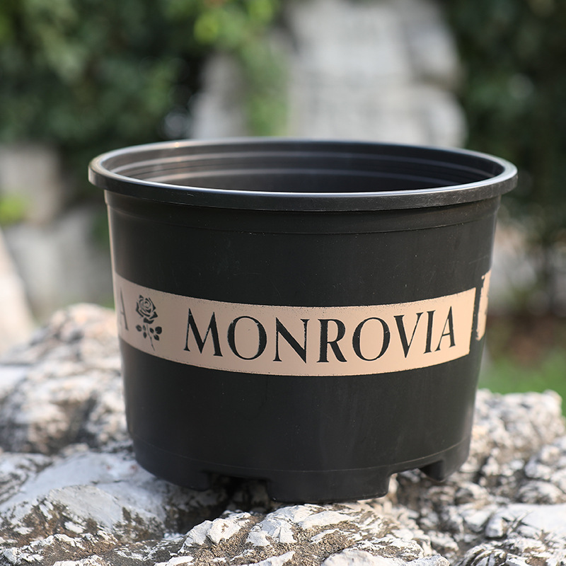 Robust planter av plast – Väderbeständig blomkruka för trädgård och balkong