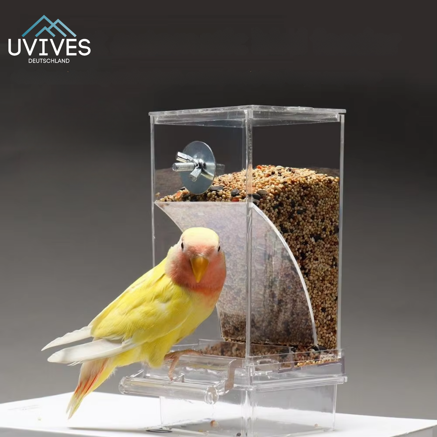 Carvallo – Ren utfodring, nöjda fåglar, mindre ansträngning