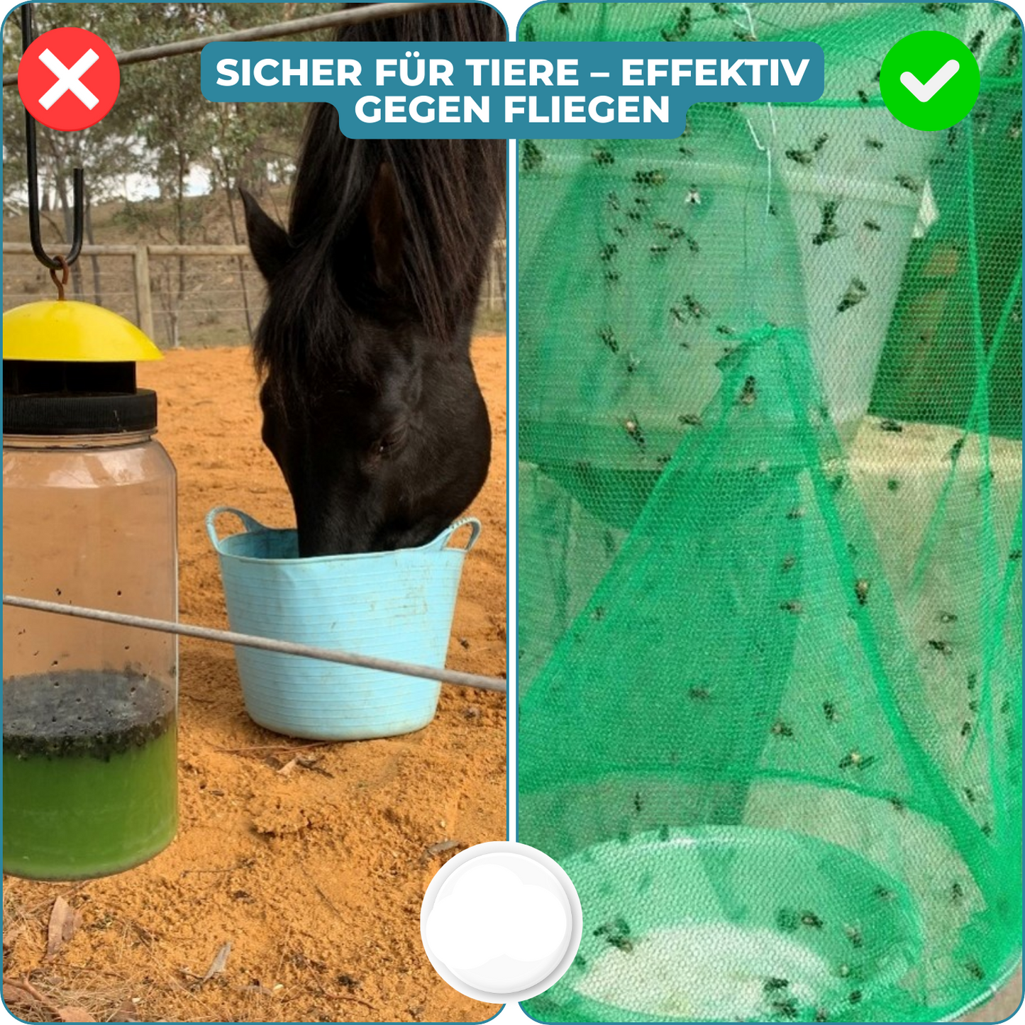 Carvallo – Slut med flugor i trädgården och huset