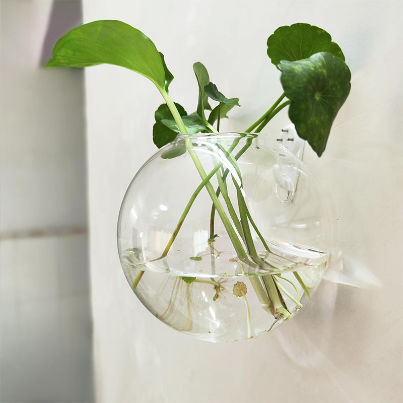 Carvallo | FlowerCrest - Kreativ vas för väggmontering