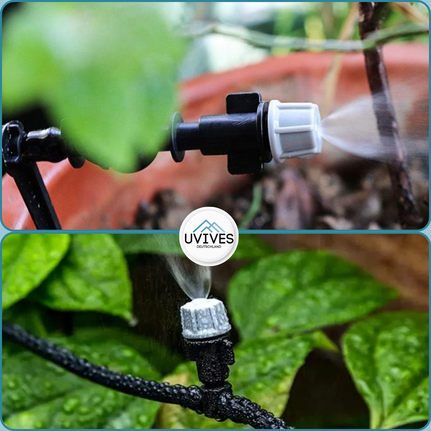 Carvallo Pro – Maximal avkastning med minimal ansträngning (20-pack)