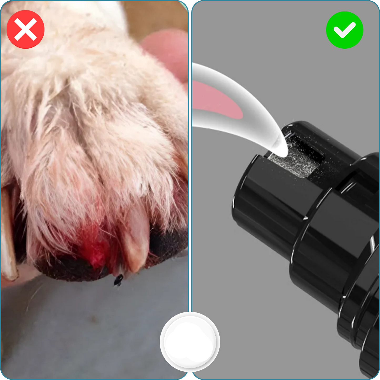 Carvallo – Stressfri tassvård