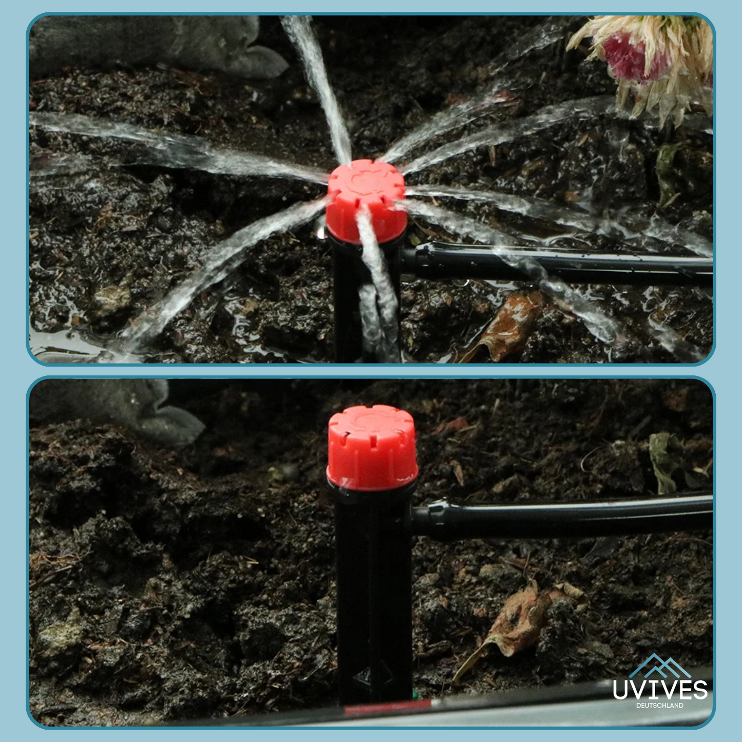 Carvallo – Droppbevattning gjort enkelt (100-pack)