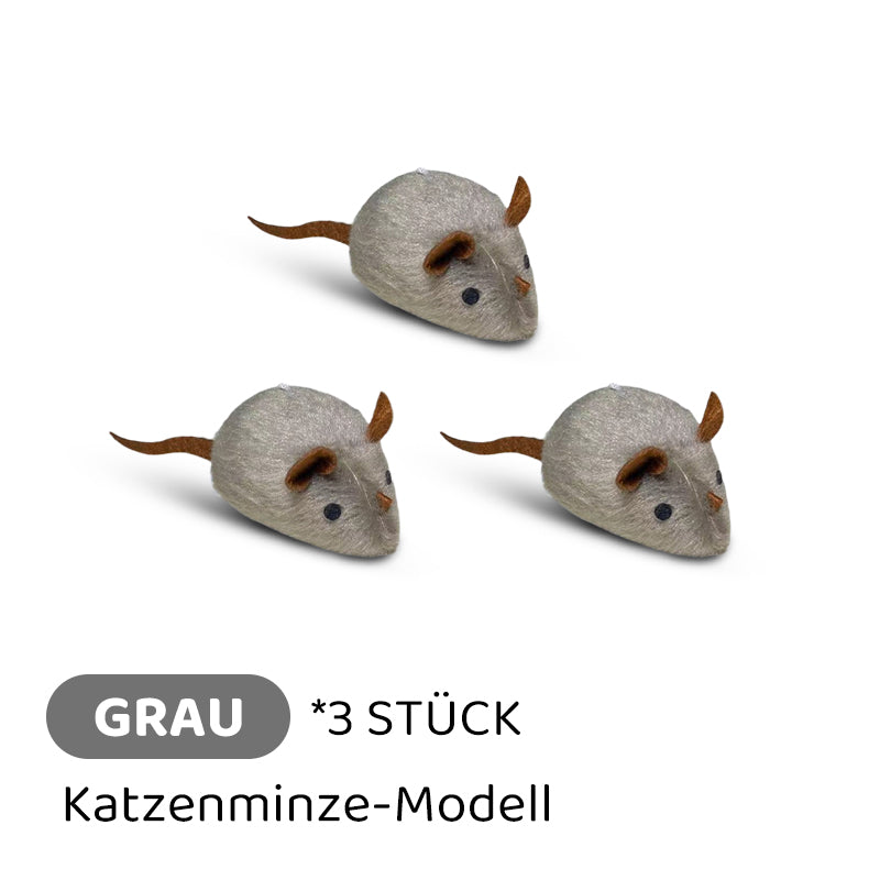 Carvallo | PawChase – Jaga, spela, jaga kul för din katt!