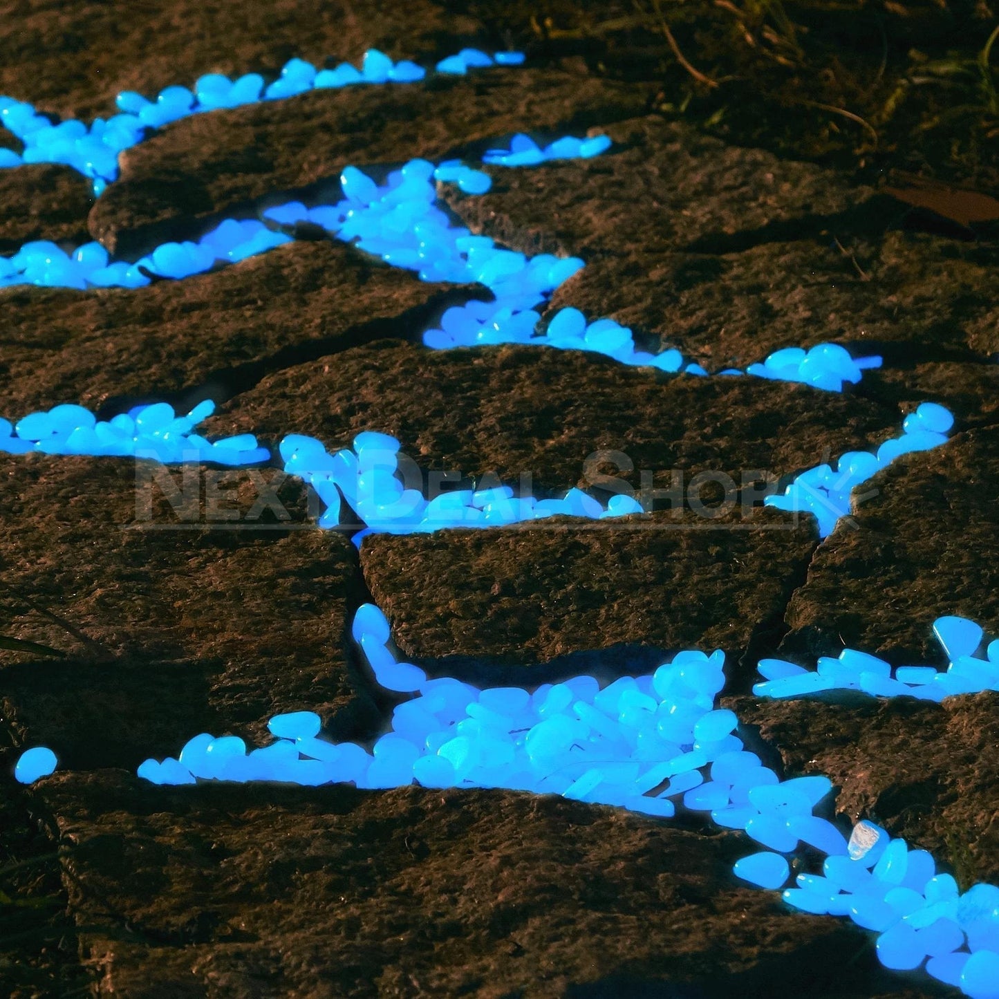 Carvallo | GlowPebbles - Ta med ljus i mörka vägar