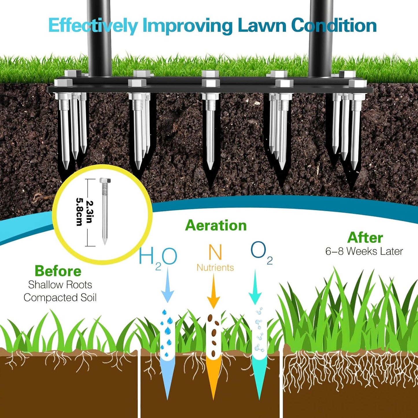 Carvallo – För stark gräs från botten och upp!