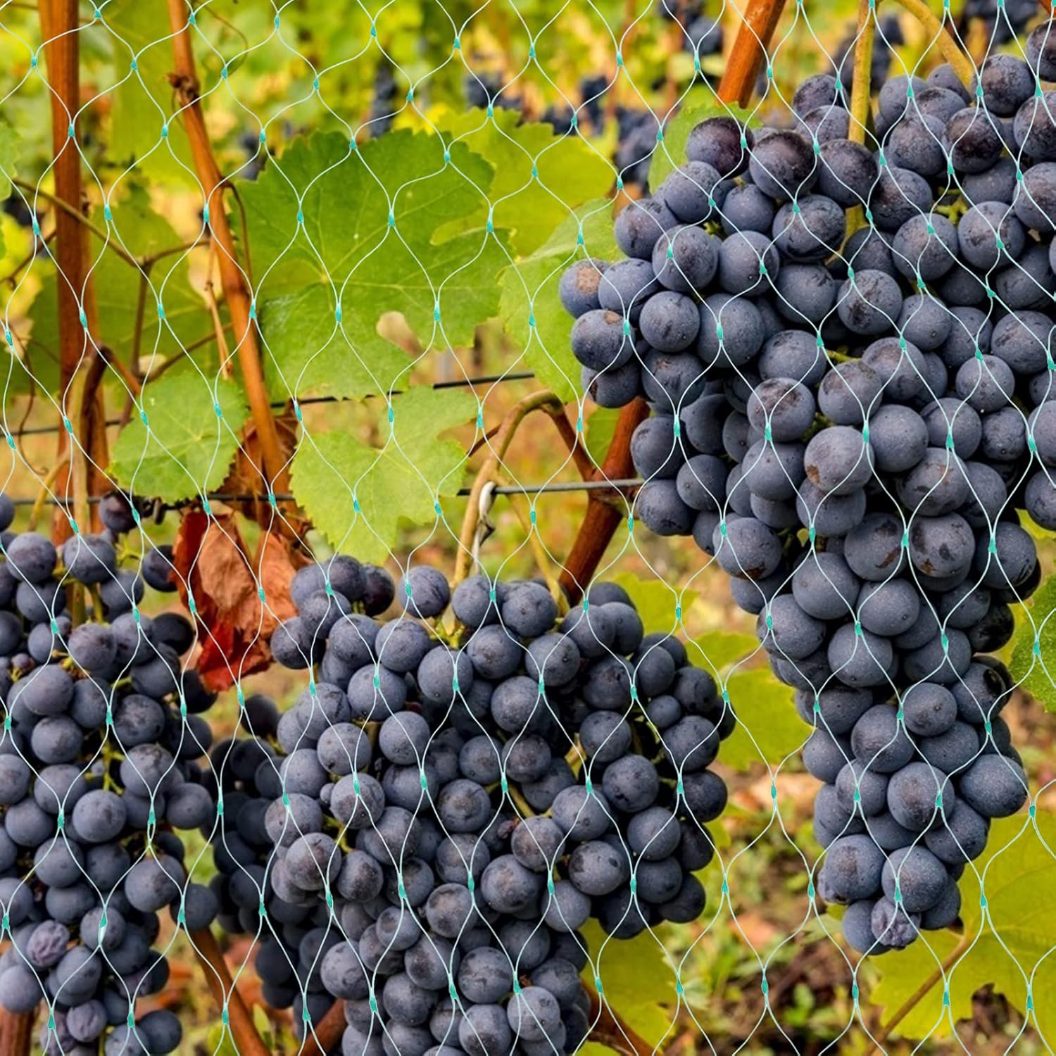 Skyddsnät för trädgårdsväxter – Grönt nät mot skadedjur och djur