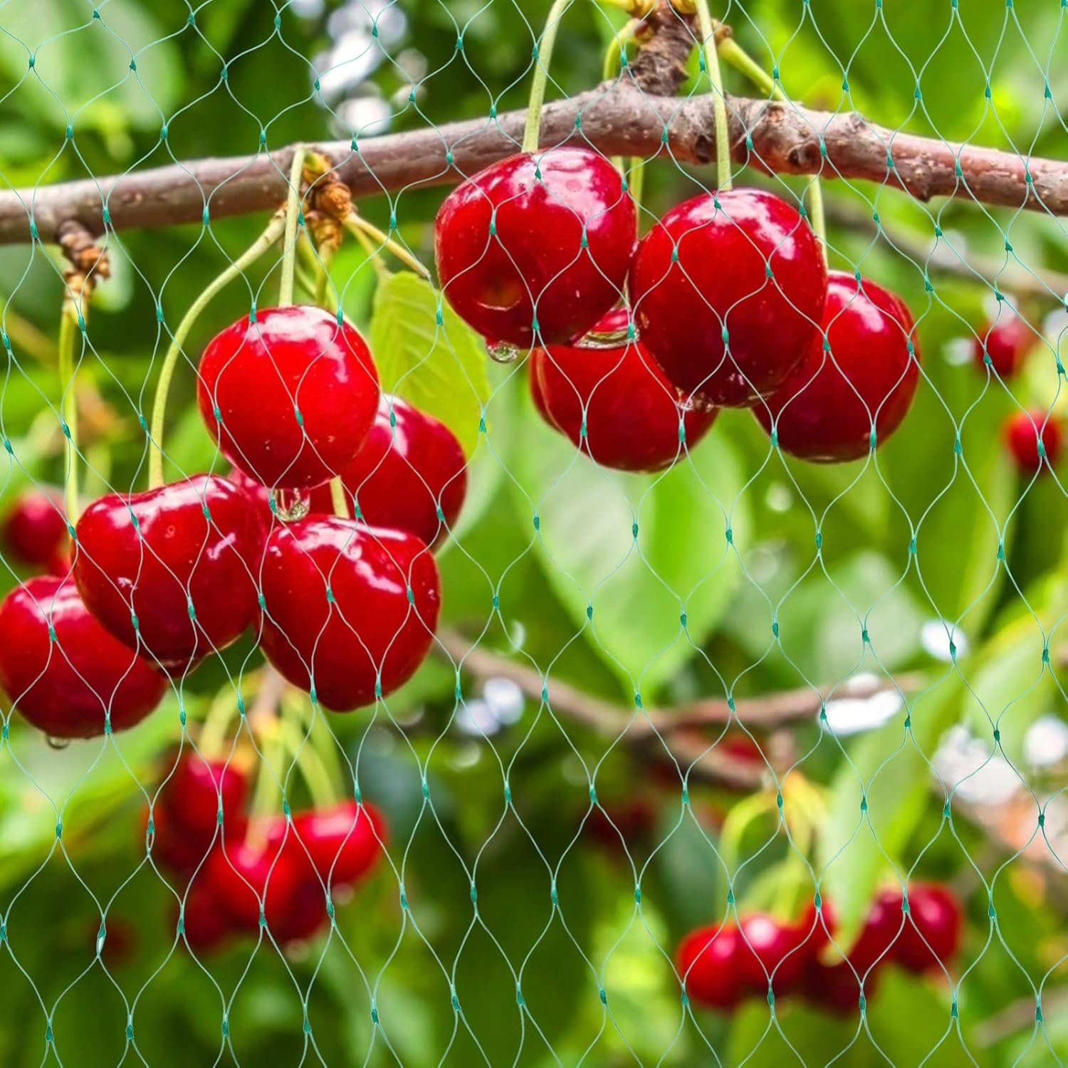 Skyddsnät för trädgårdsväxter – Grönt nät mot skadedjur och djur