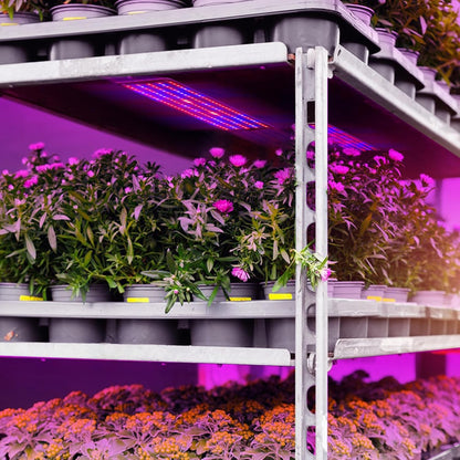LED Quantum Växtbelysning Panel för tillväxt och färgfrämjande – Med justerbart ljusläge