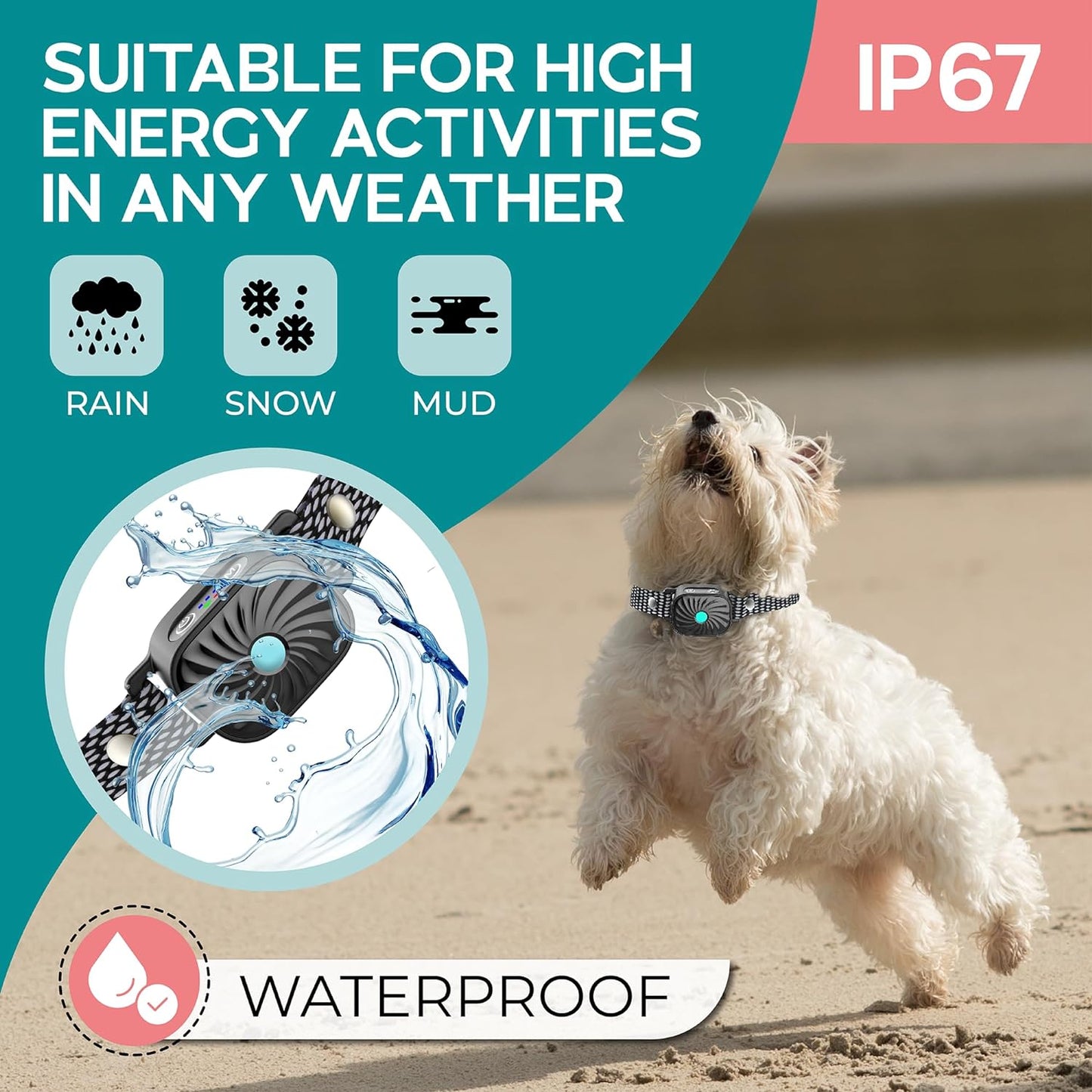 Carvallo Antibellhalsband för små hundar | Med ljud & vibration | IP87 vattentålig | Justerbar & skonsam vid träning