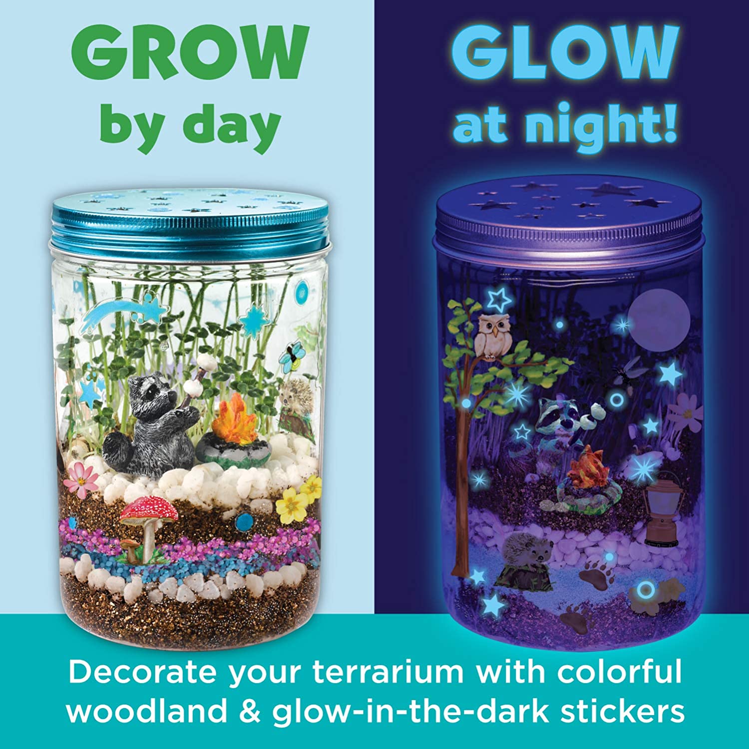 Plantas Växande Kit Färgglad Terrarium Sats