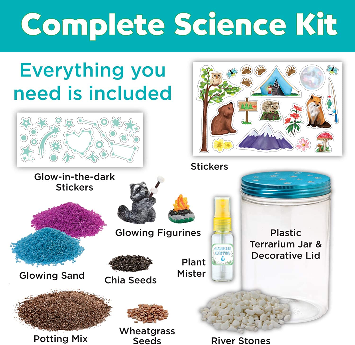 Plantas Växande Kit Färgglad Terrarium Sats