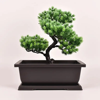 Planter med fat – Rektangulär blomkruka för trädgård och balkong