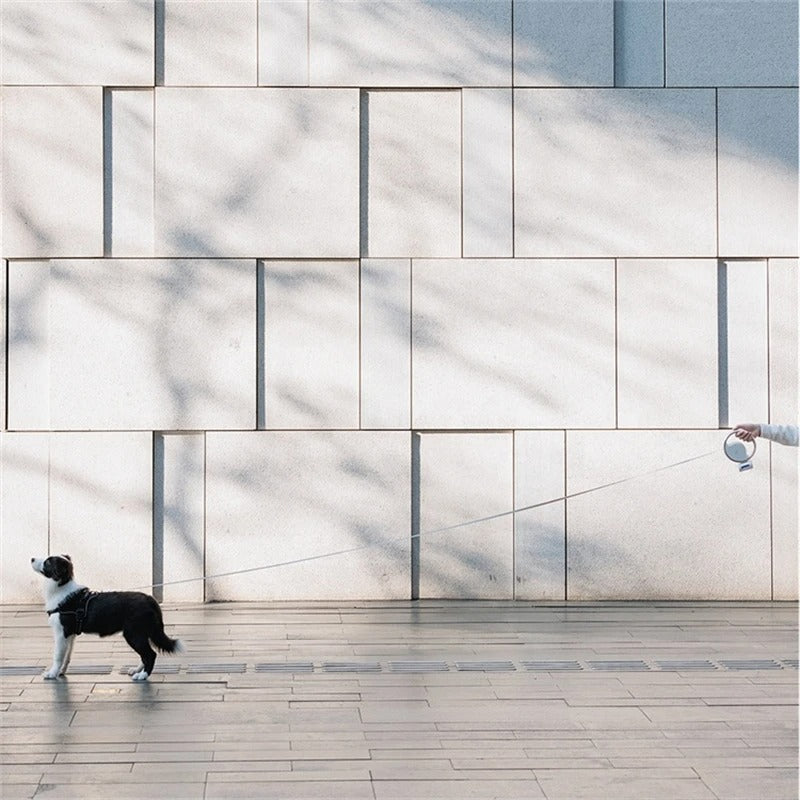 Carvallo Hundsele LumoLeash | Med LED-ljus & ergonomiskt grepp | Återställningsmekanism | För små & medelstora hundar