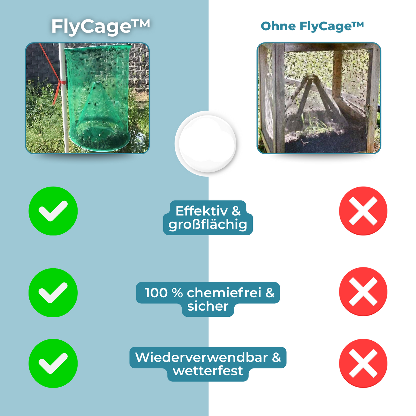 Carvallo – Slut med flugor i trädgården och huset