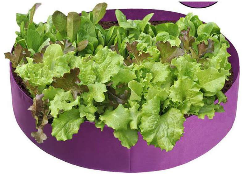 Rinder växttillväxtpåse – trädgårdskärl för enkel växttillväxt