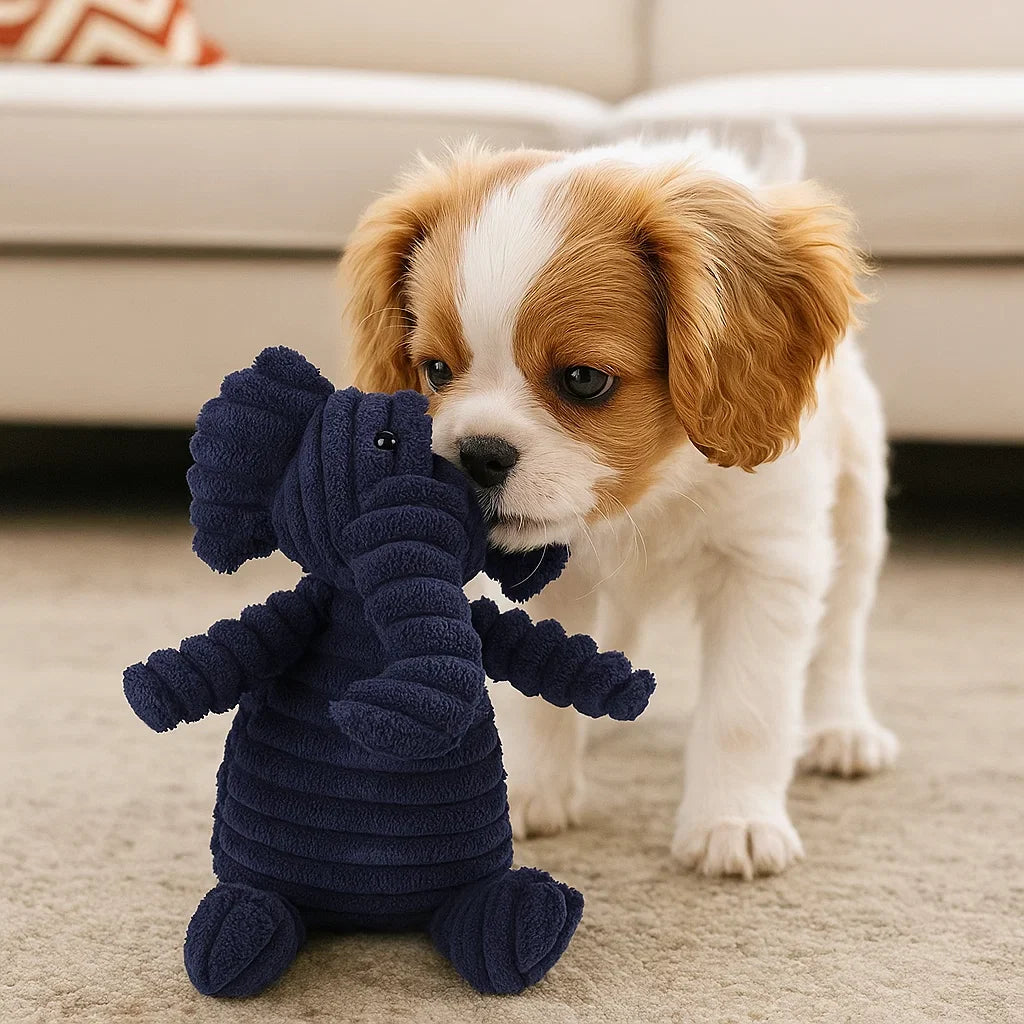 Hundleksak Pluffig Squeaky Tuggedyr