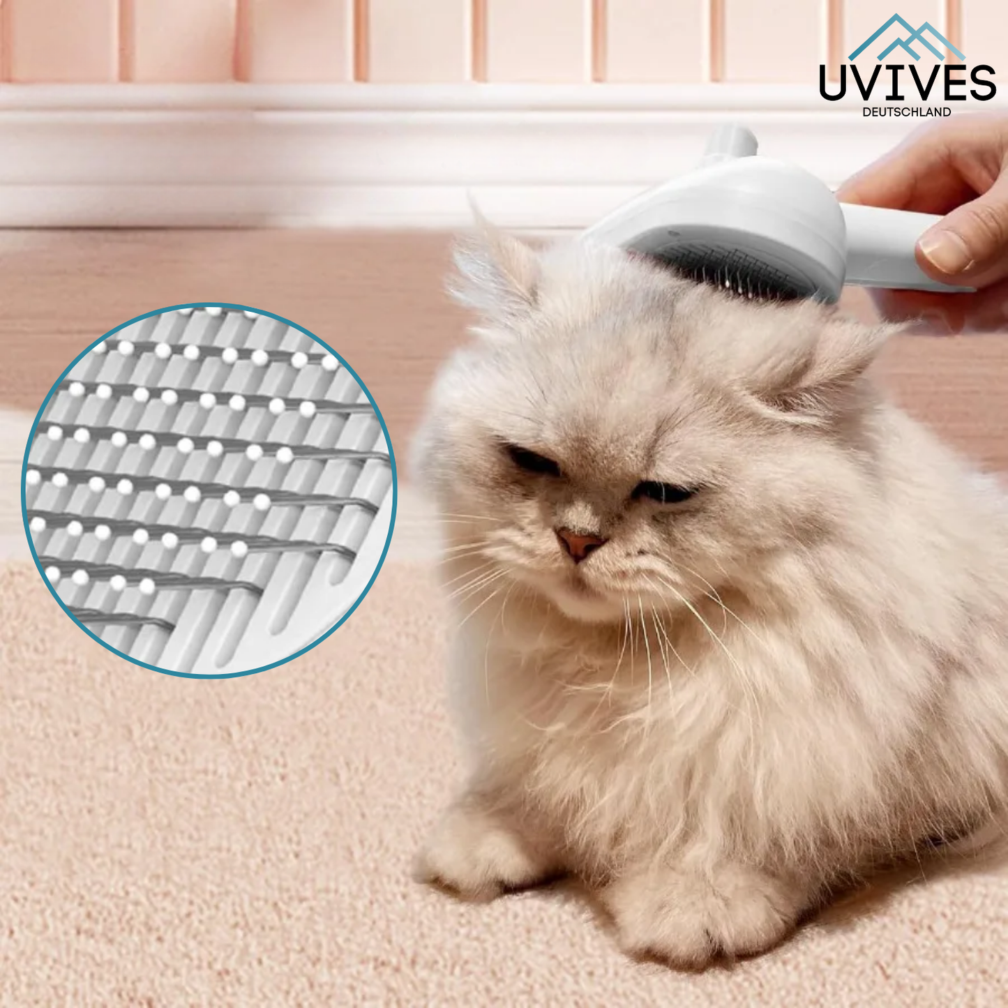 Carvallo – Mild vård, glansigt resultat