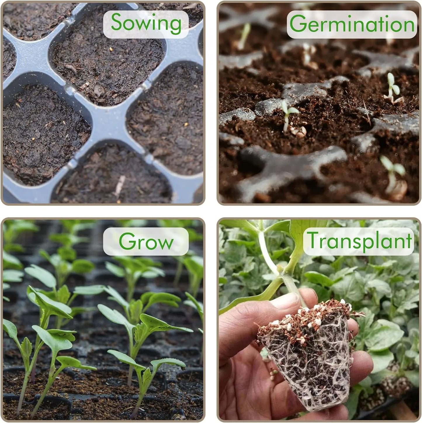 Rektangulär växtskål – såddskål för effektiv groning och tillväxt av plantor