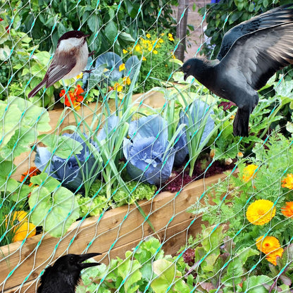 Skyddsnät för trädgårdsväxter – Grönt nät mot skadedjur och djur