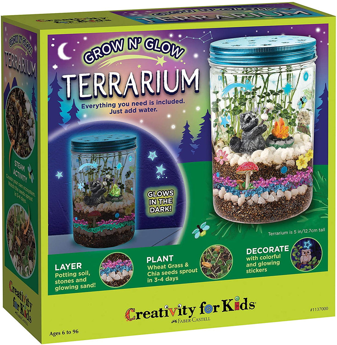 Plantas Växande Kit Färgglad Terrarium Sats