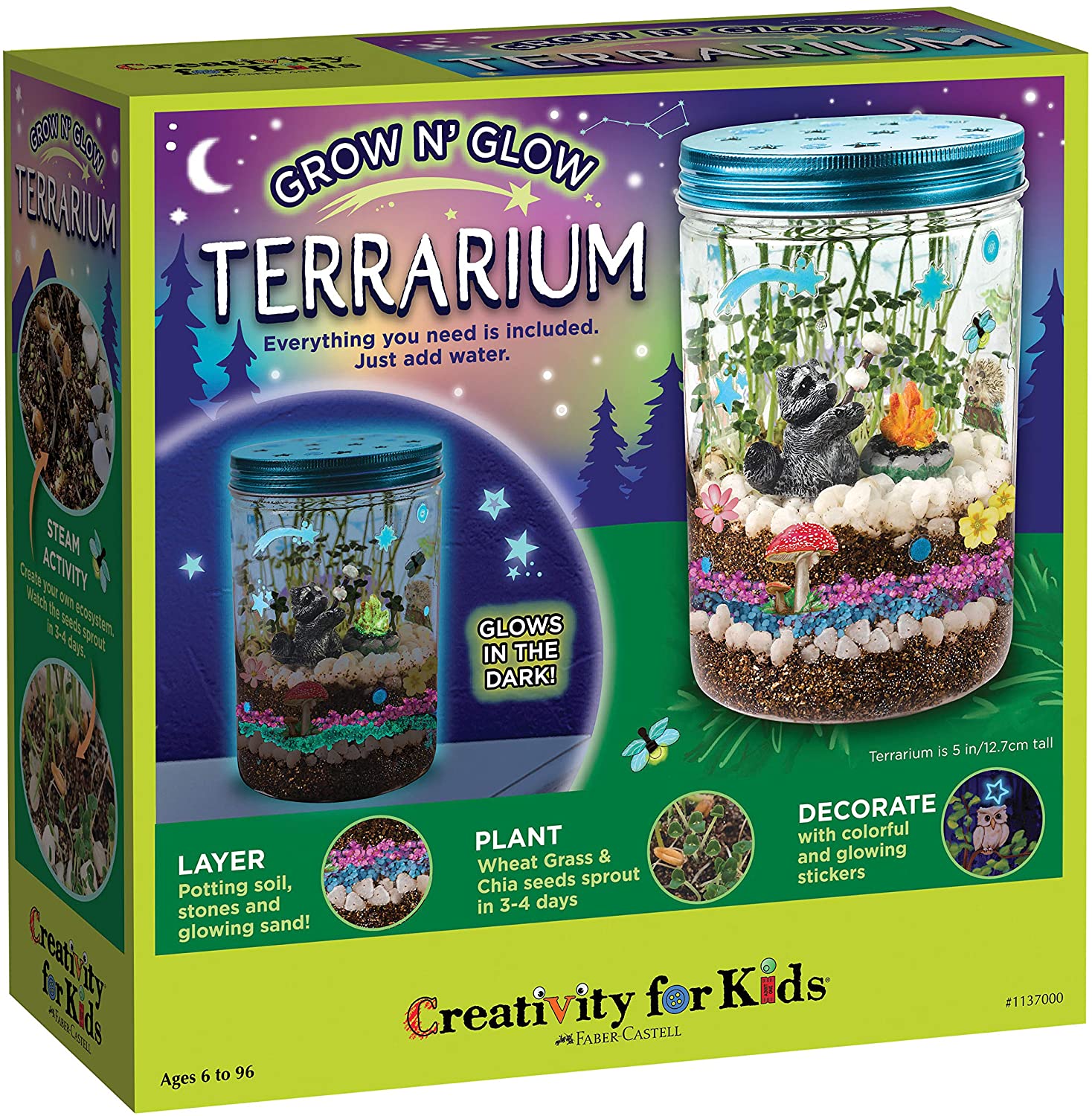 Plantas Växande Kit Färgglad Terrarium Sats
