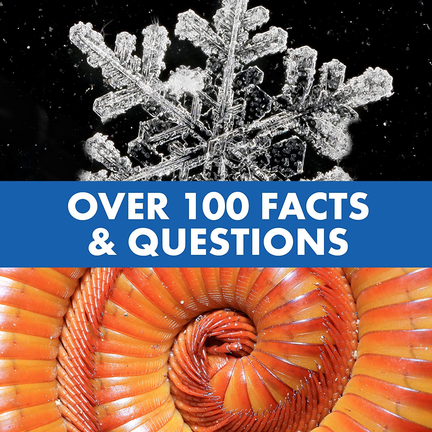 Mikroskop Lek för Barn med Pratande Funktion