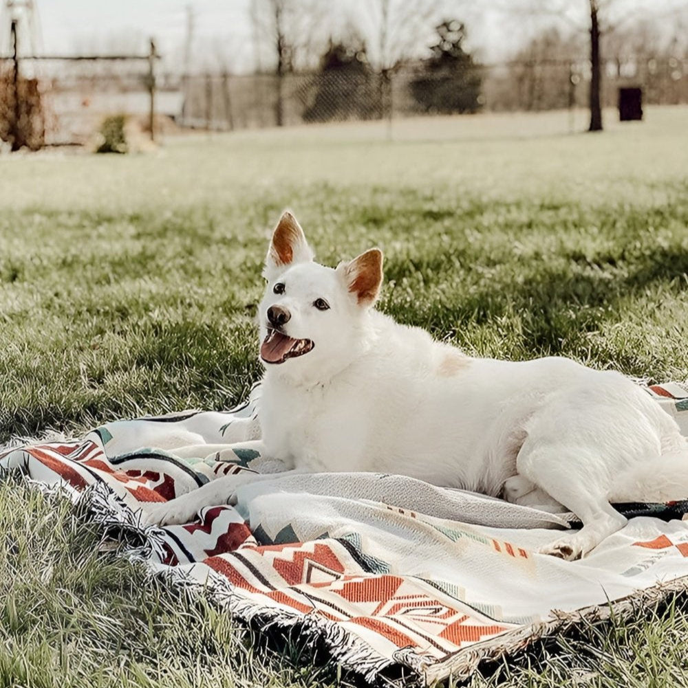 Stilig Bohemisk Picknickfilt