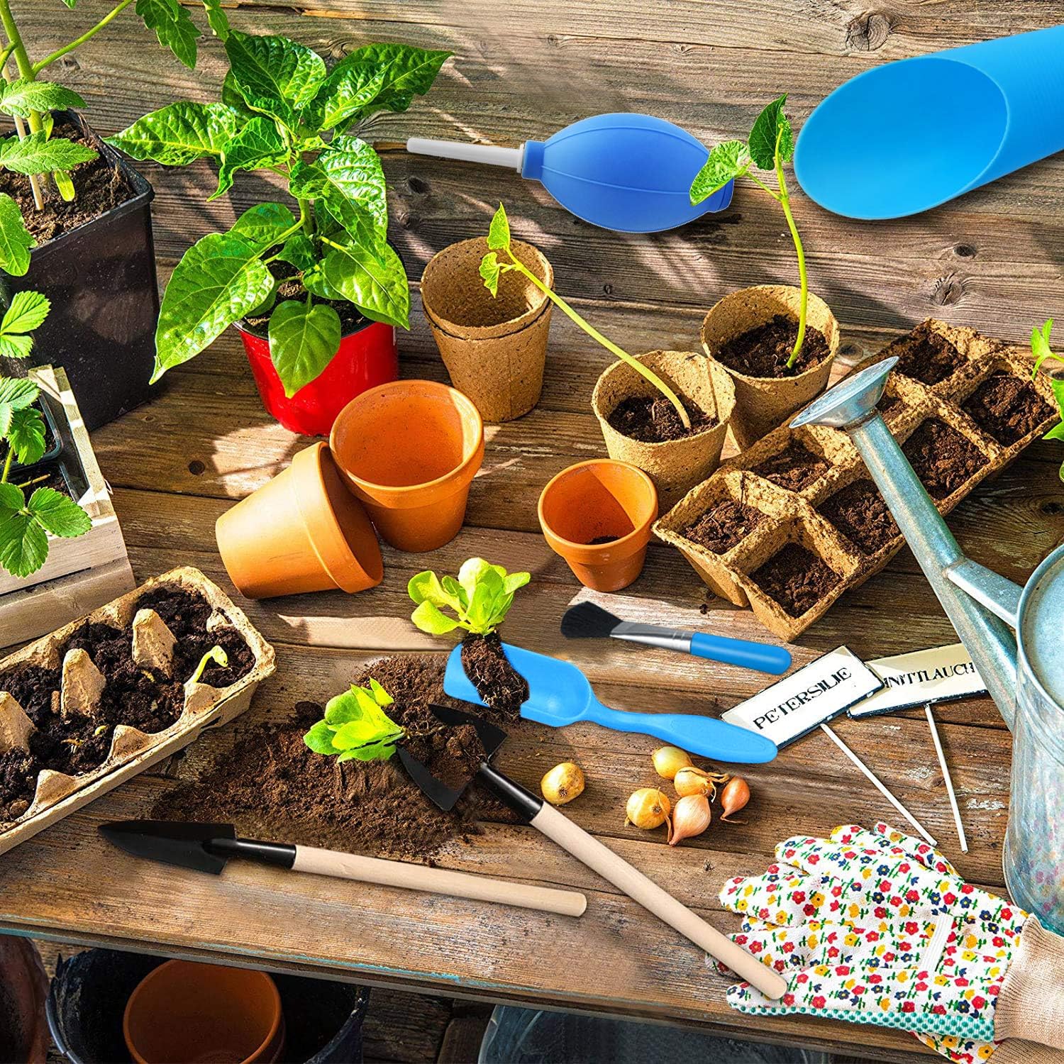 Sukkulentträdgårdsverktygsset med sprayflaska och tillbehör