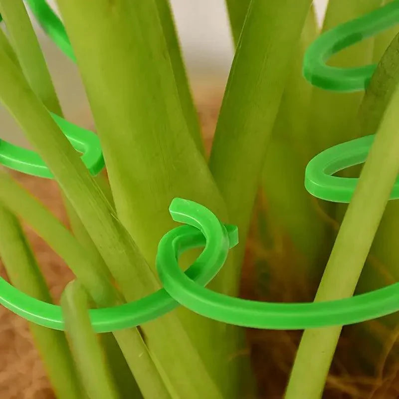 Carvallo växter stödsats | 2-delad | Av naturlig bambu | För inomhus- & utomhusträdgårdar | Stabil & dekorativ