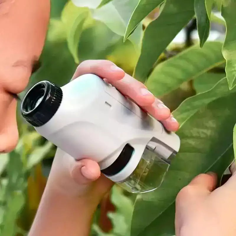 Carvallo – Stora upptäckter i fickformat.