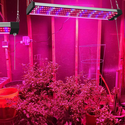 LED växtlampa med fullspektrum-belysning och dragknapp för optimal växttillväxt