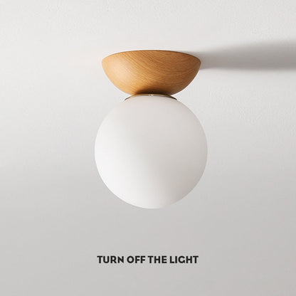 Taklampa med glas skärm för hallen