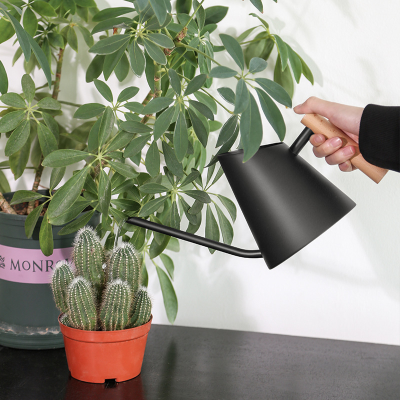 Modern vattenkanna med trähandtag – Stilig vattenkanna för växter i trädgården