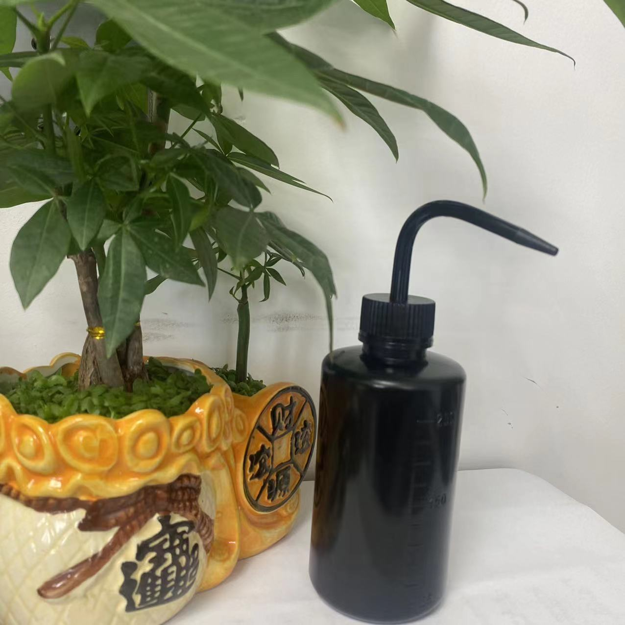 Spot 250ml Squeeze Gießflaska – Kompakt sprayflaska för precis goding och dosering