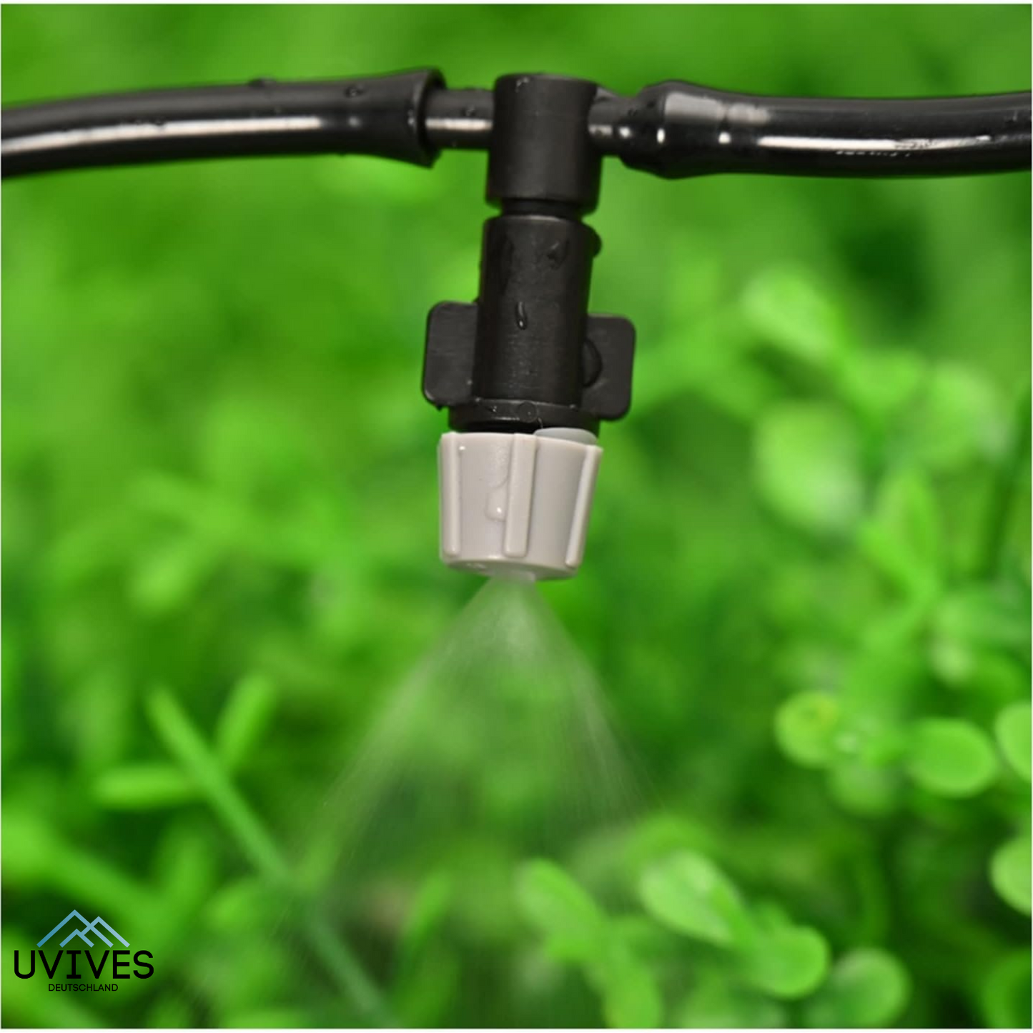 Carvallo Pro – Maximal avkastning med minimal ansträngning (20-pack)