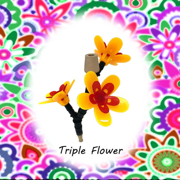 Carvallo – Den smarta baren för kolibrier!