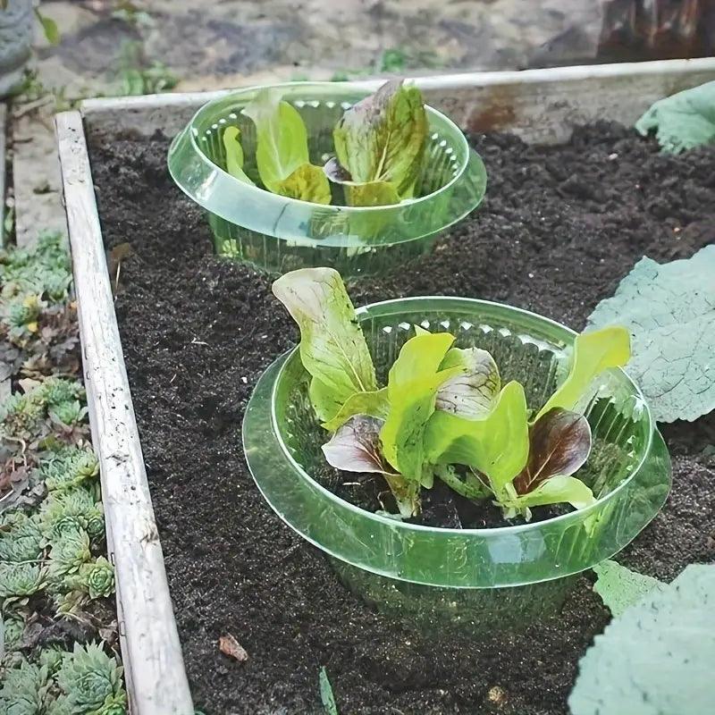 Carvallo skyddsringar | 20-pack | Växtskydd mot sniglar & insekter | Utan kemi eller elektricitet | Återanvändbar