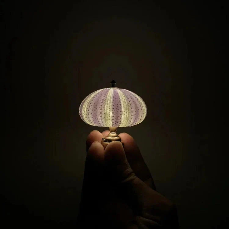 Kreativ DIY Sjöborre Lampa