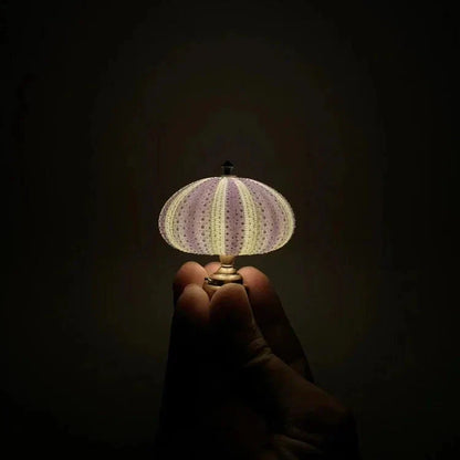 Kreativ DIY Sjöborre Lampa